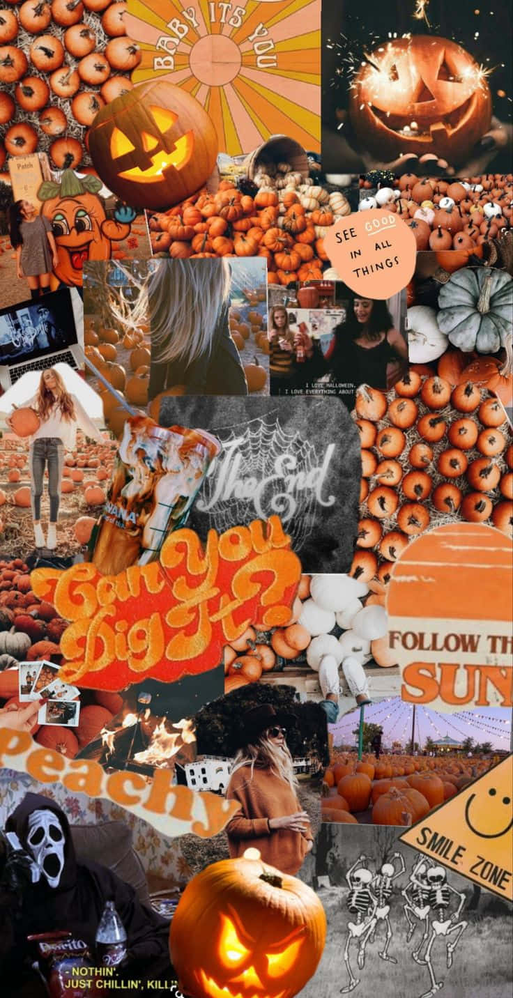 Fall Halloween iPhone, glowing pumpkins, skulls, HD Phone Wallpaper