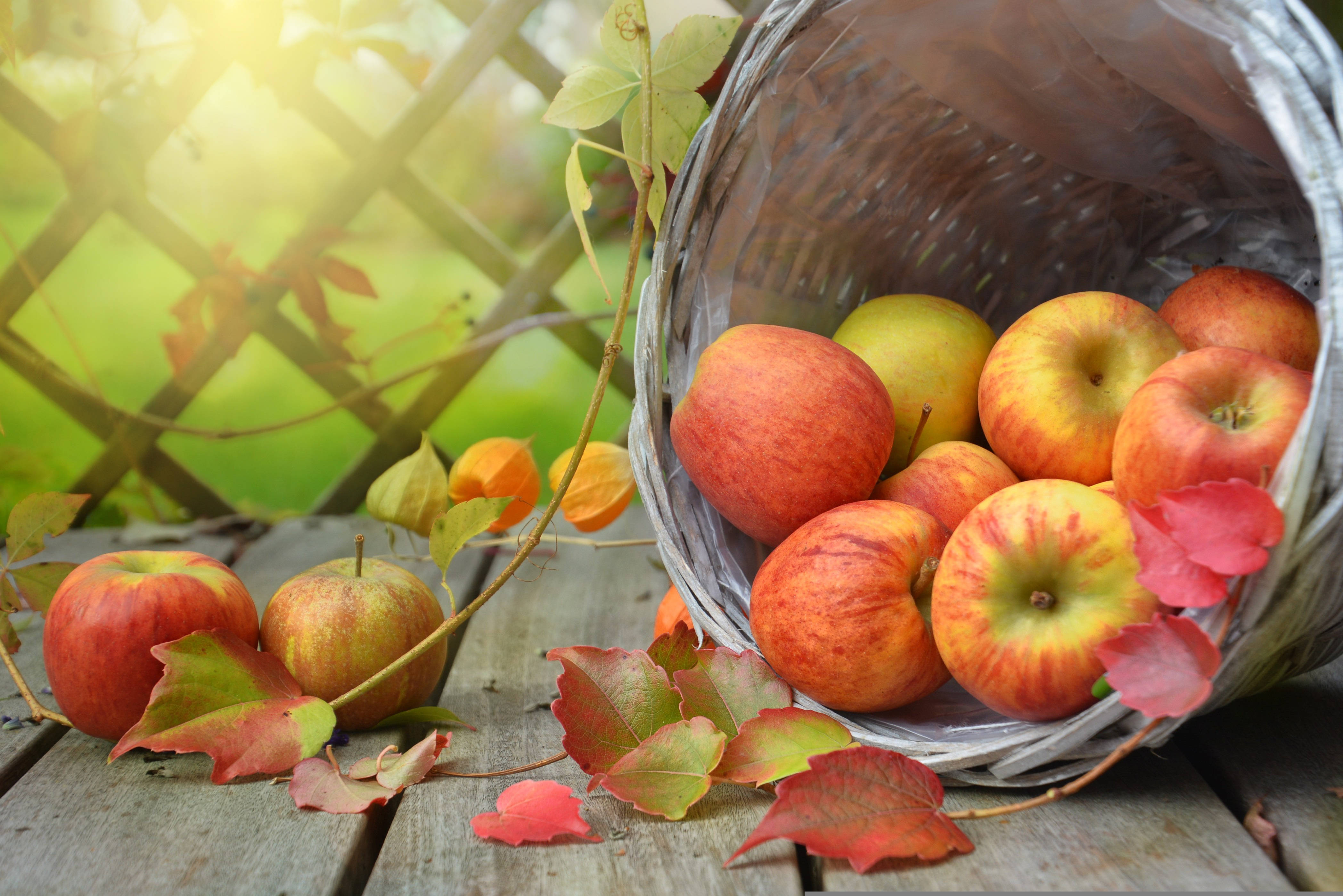 woven basket, vibrant red and yellow apples, weathered wooden deck, 4K Desktop Wallpaper