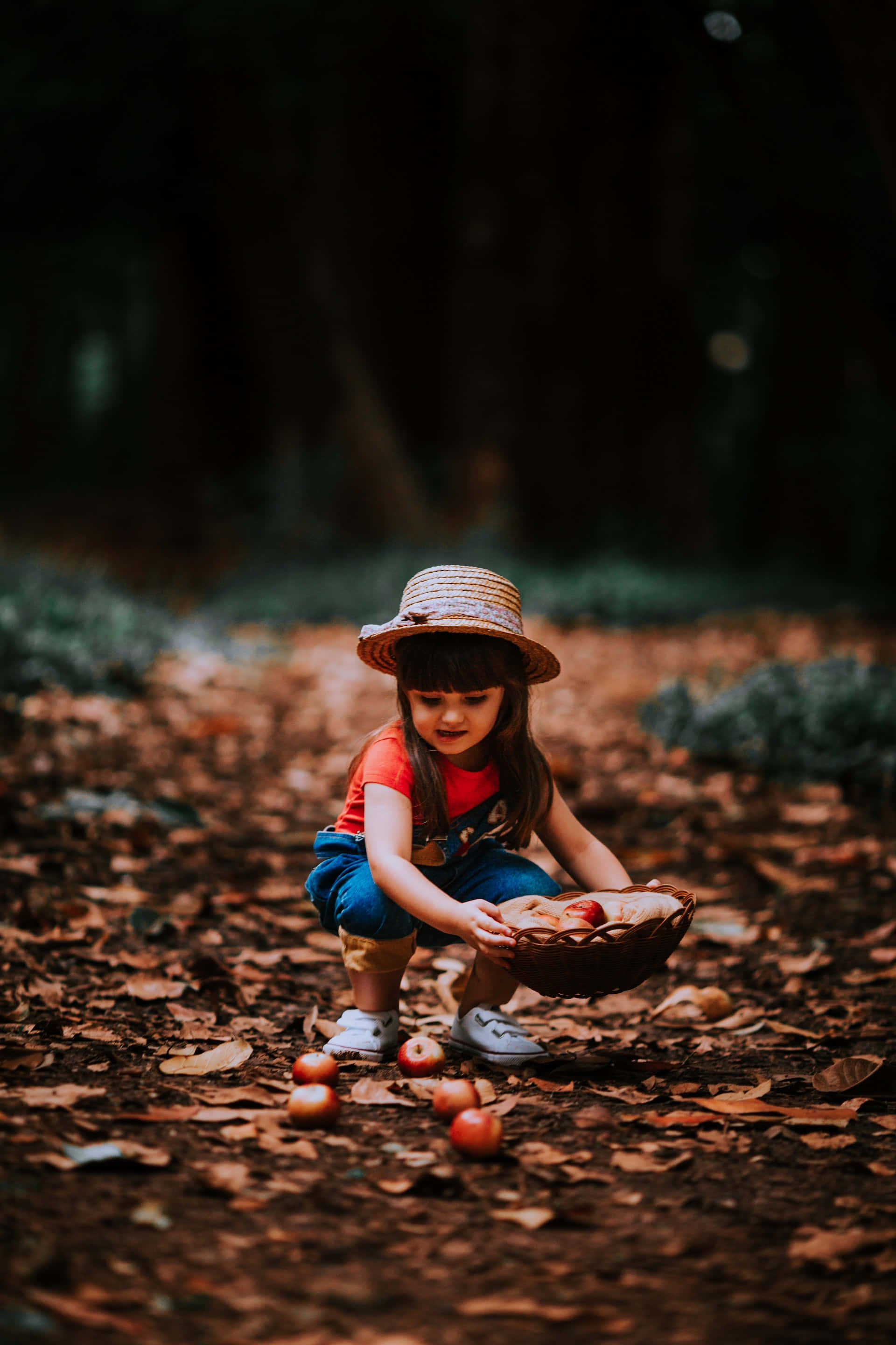 straw hat, red apples, woven basket, 2K Phone Wallpaper