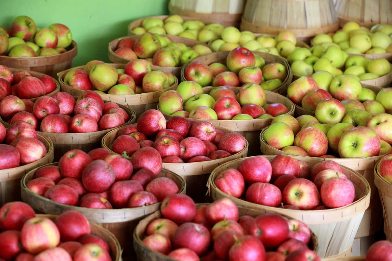 Fall Apples, red apples, green apples, HD Desktop Wallpaper