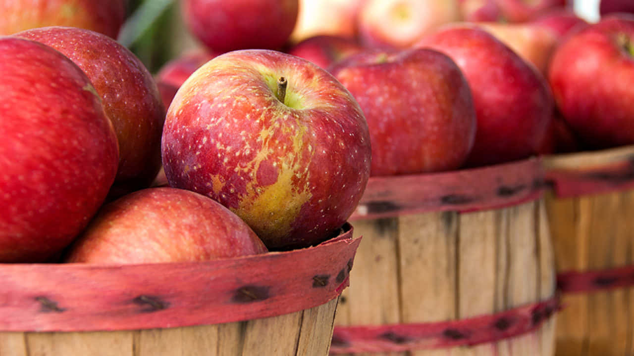 fall apples, glossy red apples, yellow speckles, HD Desktop Wallpaper