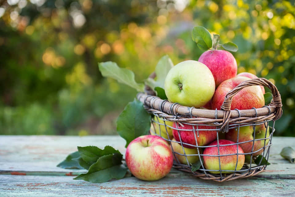 fall apples, woven basket, red apples, SD Desktop Wallpaper