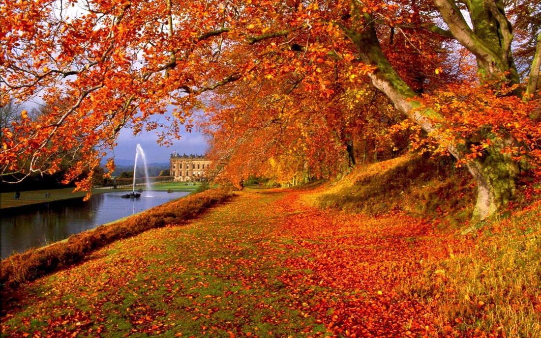 Fall Autumn Desktop