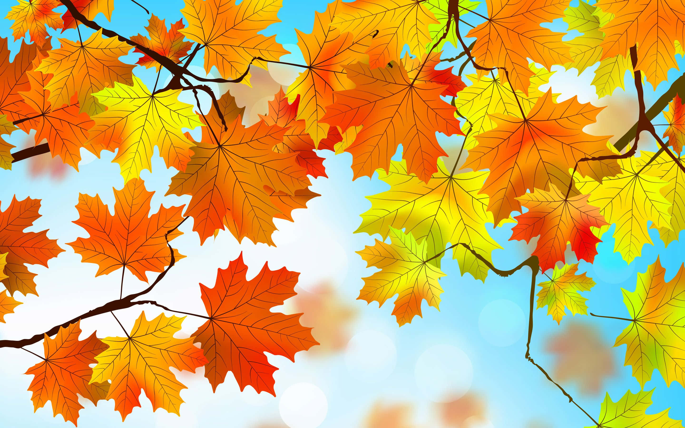 Maple Leaves, fiery orange yellow and red hues, bright blue sky, 2K Desktop Wallpaper