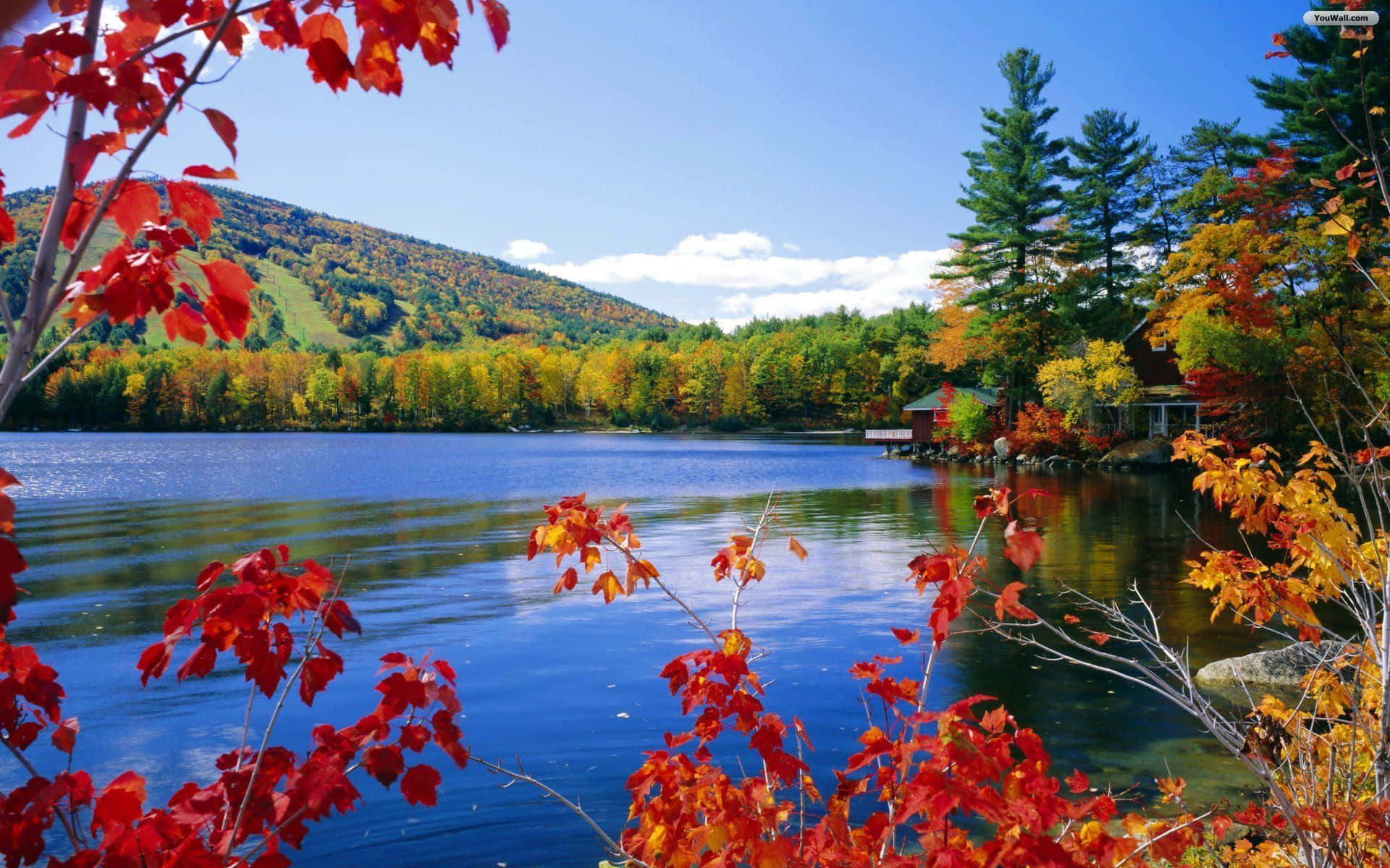 red maple leaves, serene lake, autumn-colored forests, Full HD Desktop Wallpaper