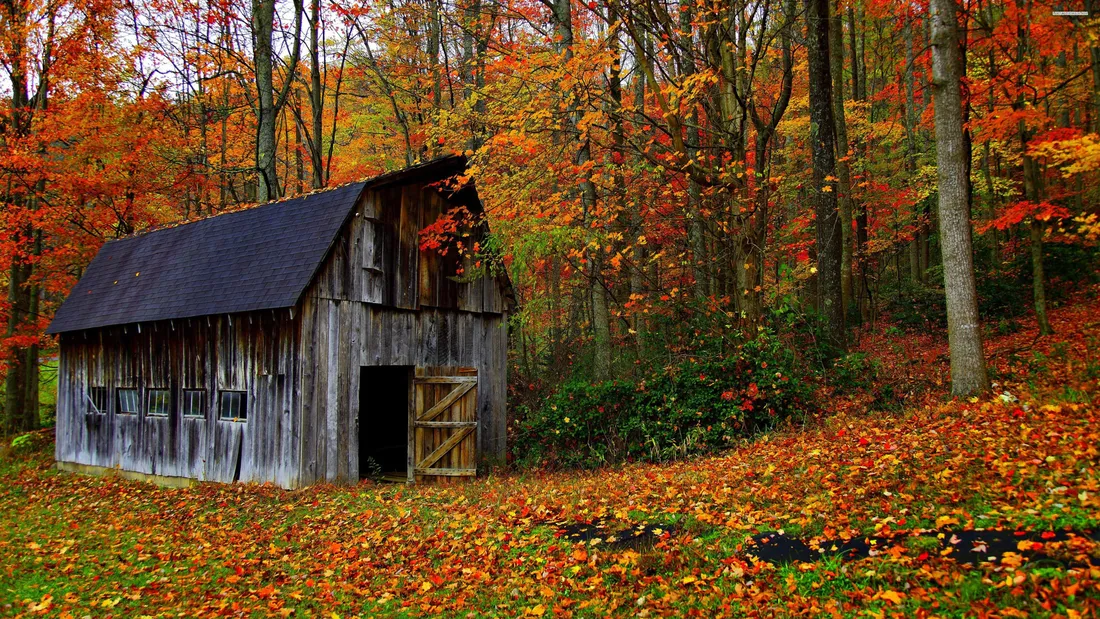 Fall Barn