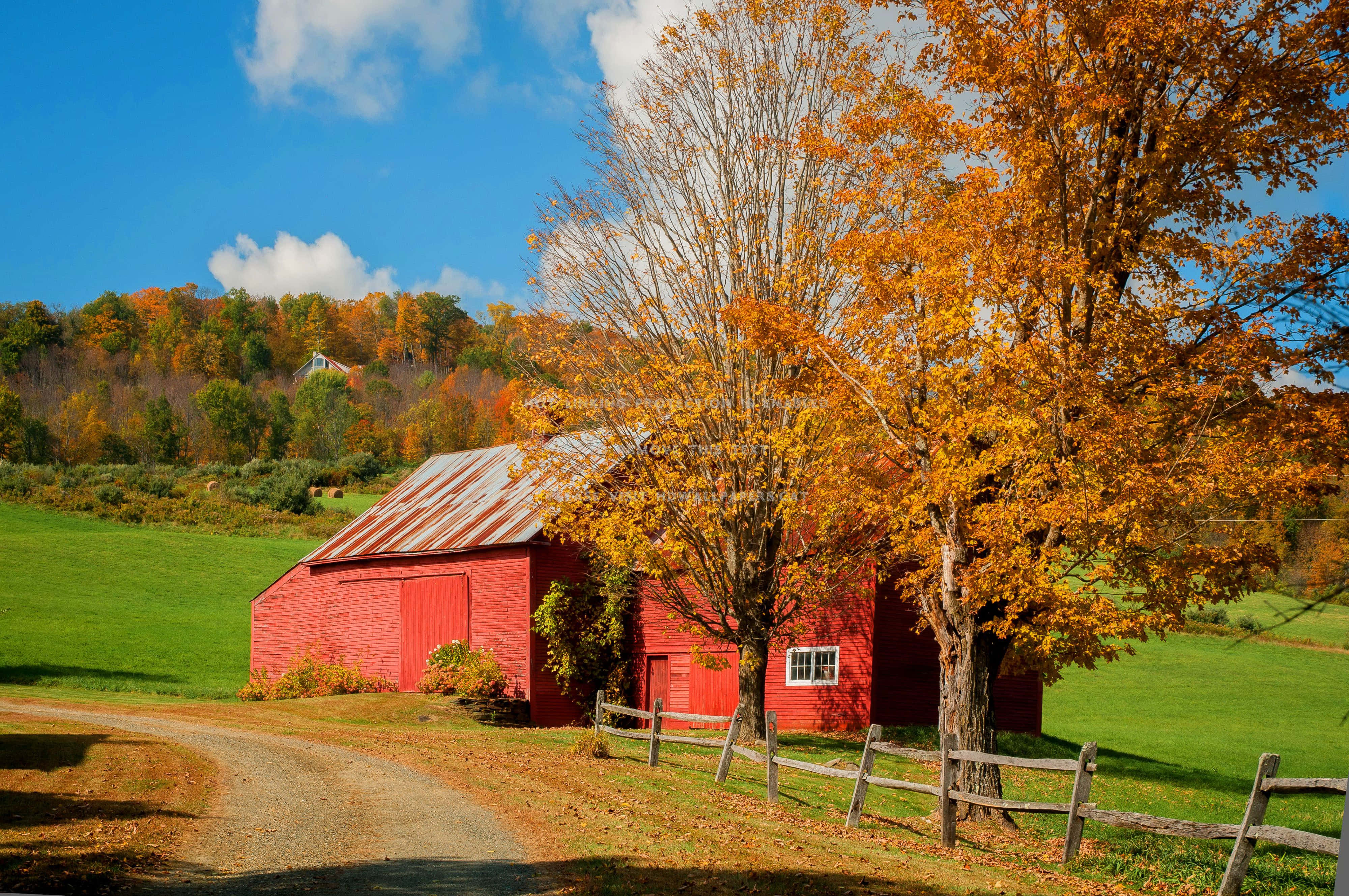 Fall Barn, red barn, winding dirt road, 4K Desktop Wallpaper