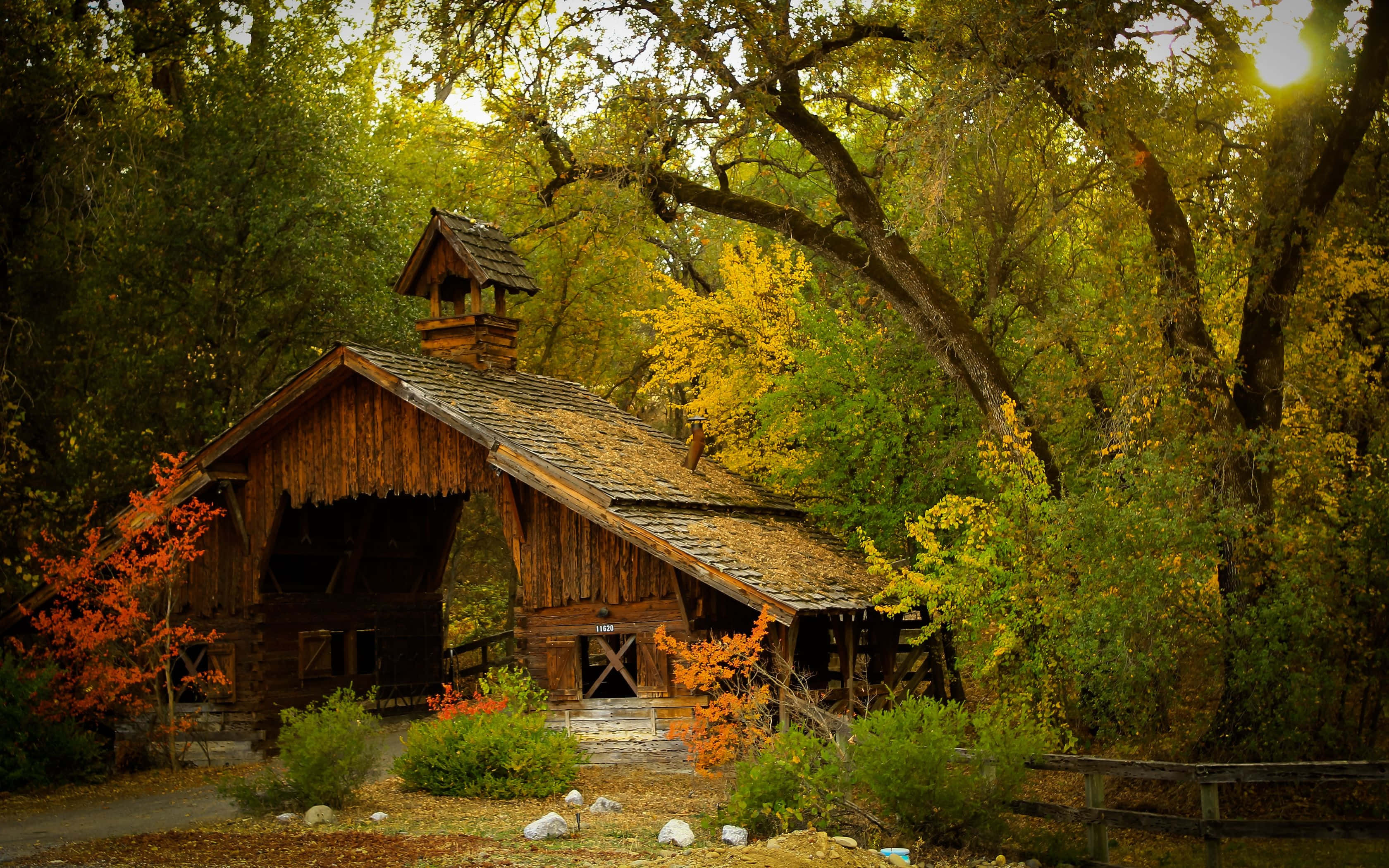 fall barn, rustic wooden cabin, sun-dappled autumn forest, 2K Desktop Wallpaper