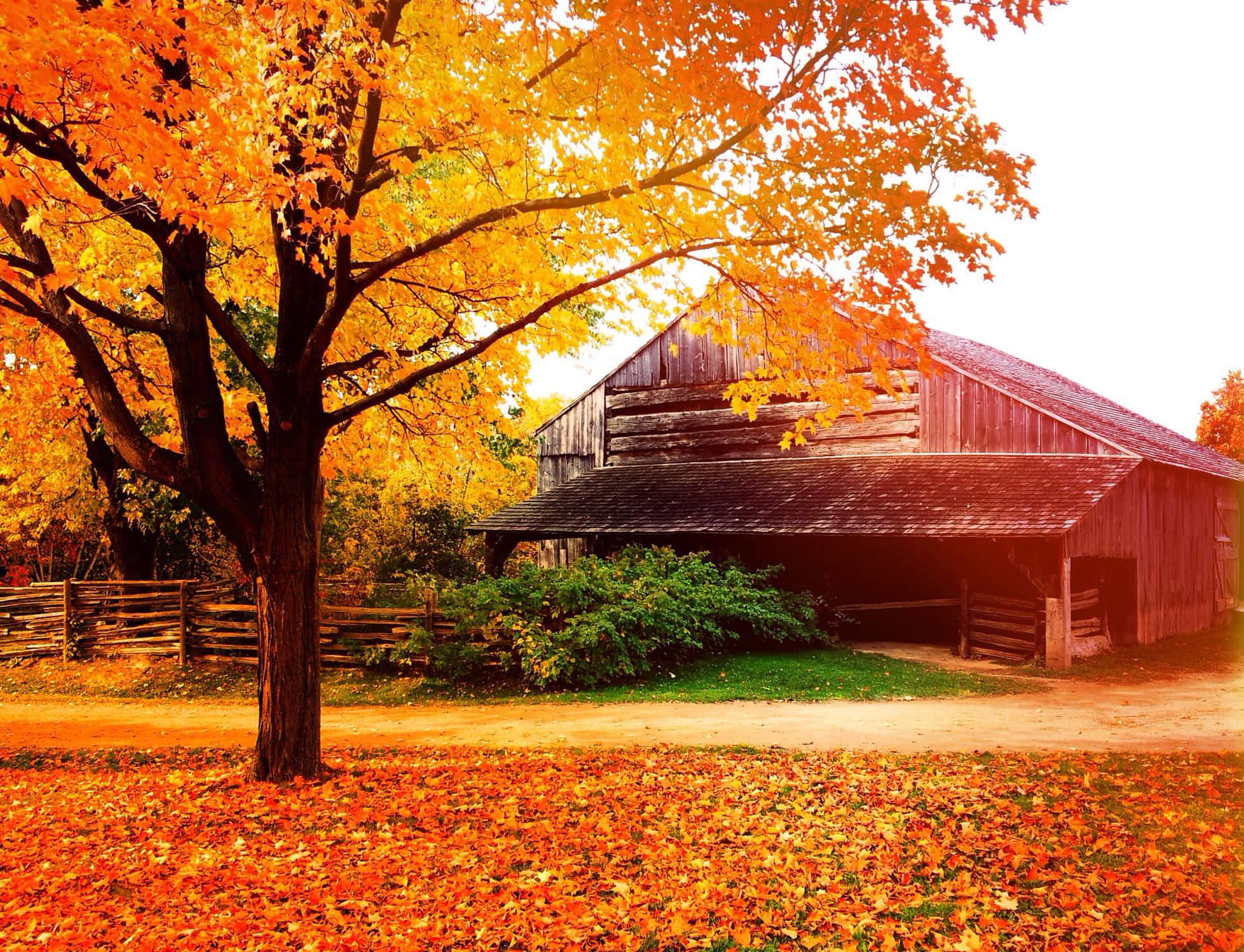 Fall Barn, 1957, rustic wooden barn, Full HD Desktop Wallpaper