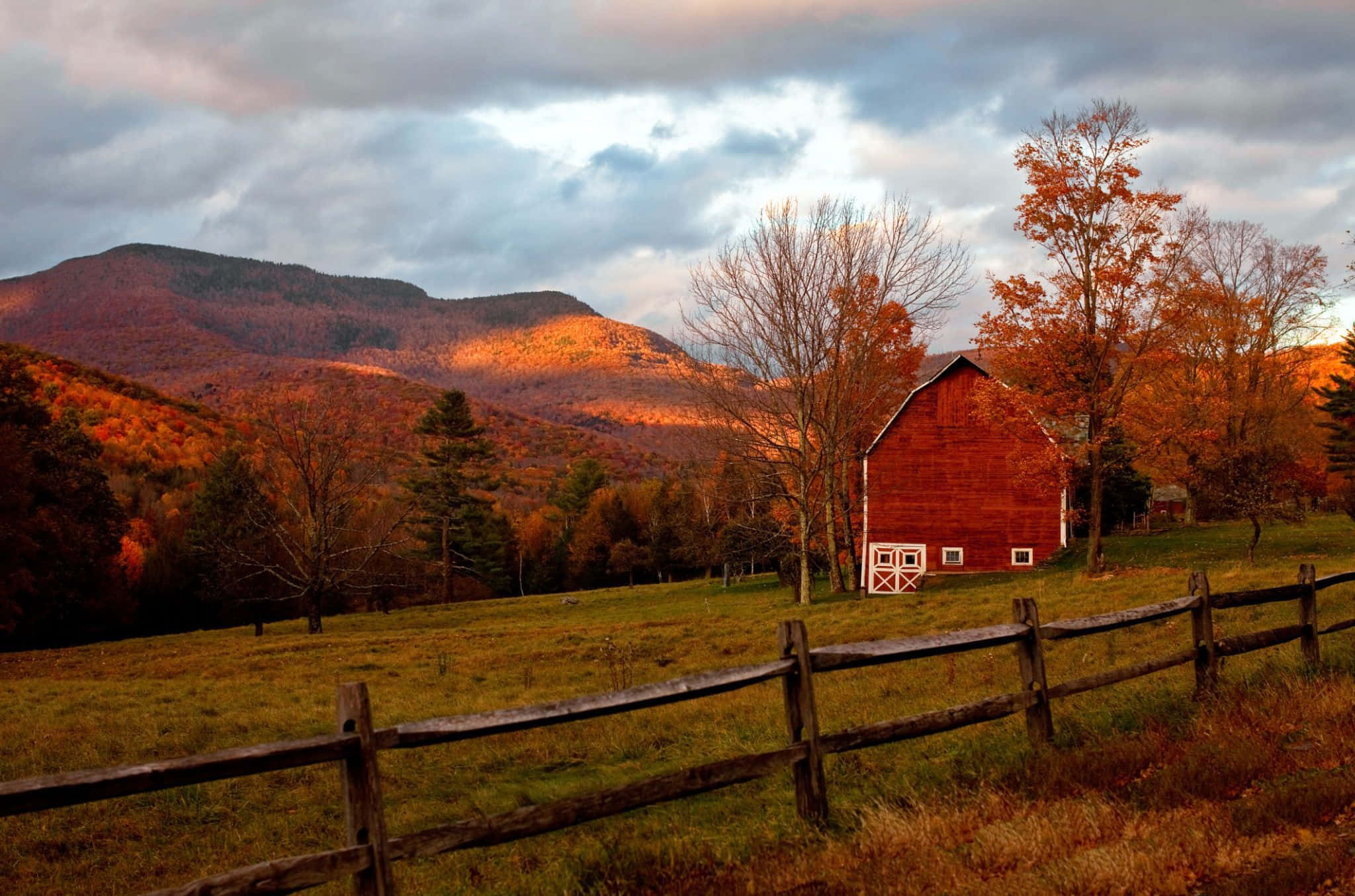 Fall Barn, red barn, golden field, Full HD Desktop Wallpaper
