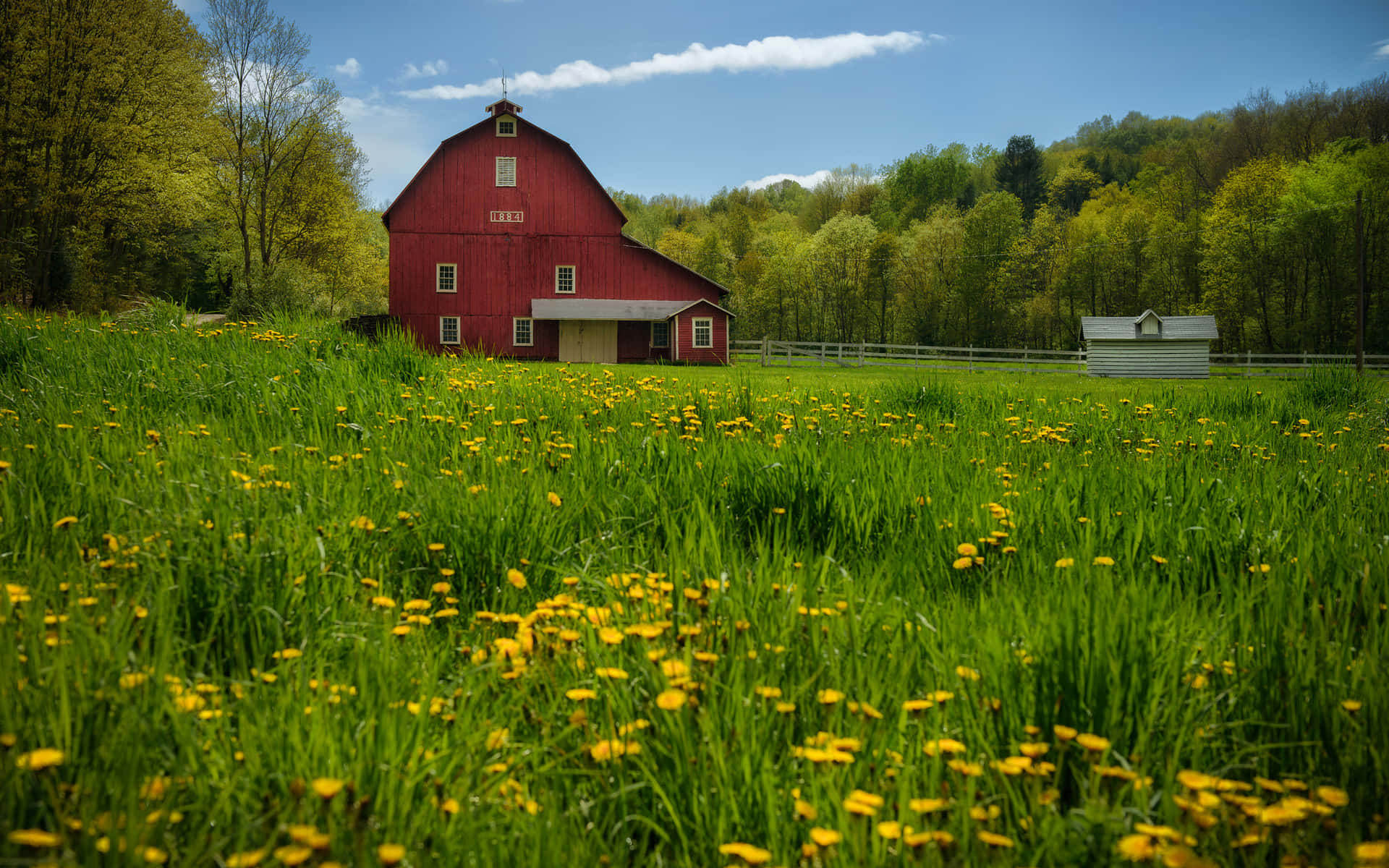 Fall Barn, vibrant red barn, sunlit field, Full HD Desktop Wallpaper