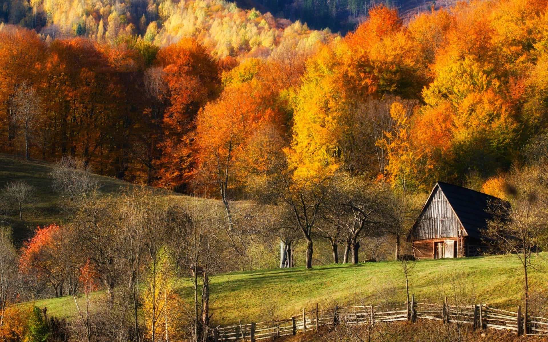 Fall Barn, rustic wooden barn, grassy hill, Full HD Desktop Wallpaper