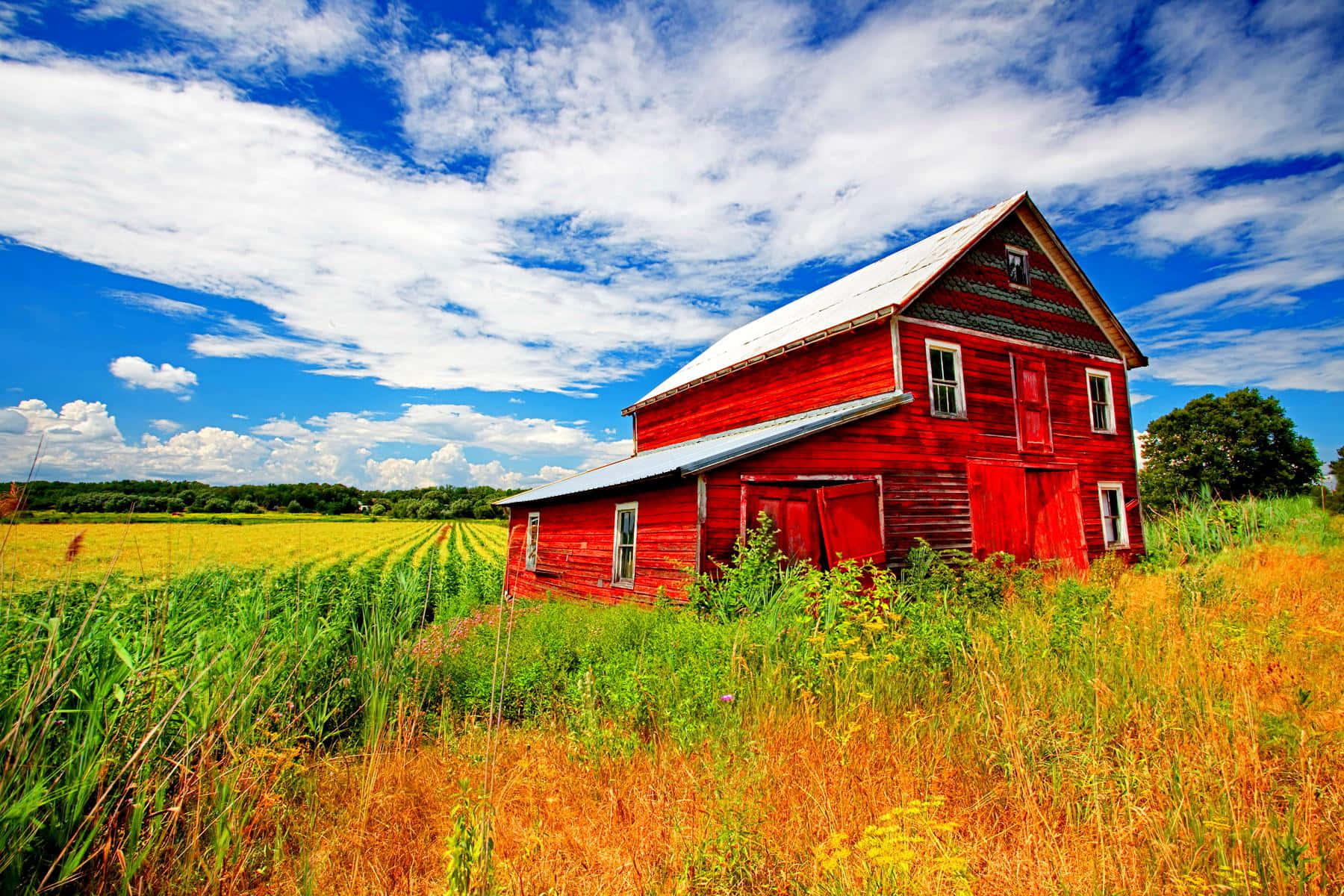 Fall Barn, vibrant red barn, golden field, HD Desktop Wallpaper