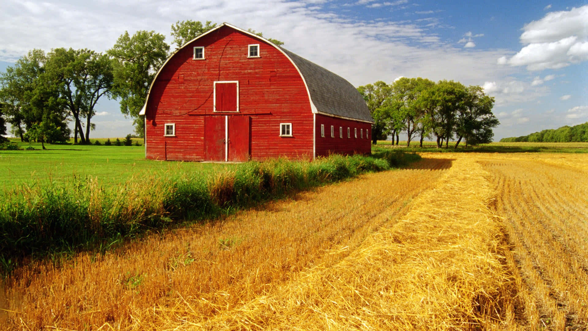 Fall Barn, red barn, white trim, Full HD Desktop Wallpaper