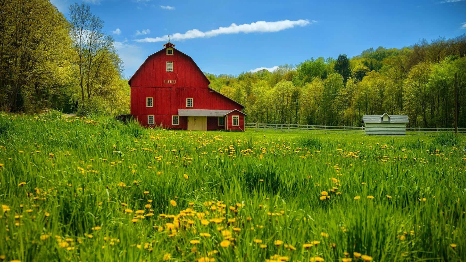 Fall Barn, red barn, sunlit field, Full HD Desktop Wallpaper