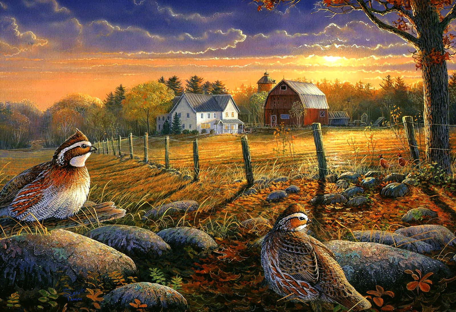 fall farmhouse, red barn, golden autumn field, HD Desktop Wallpaper