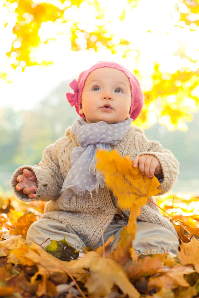 Fall Birthday, pink hat, knit sweater, SD Phone Wallpaper