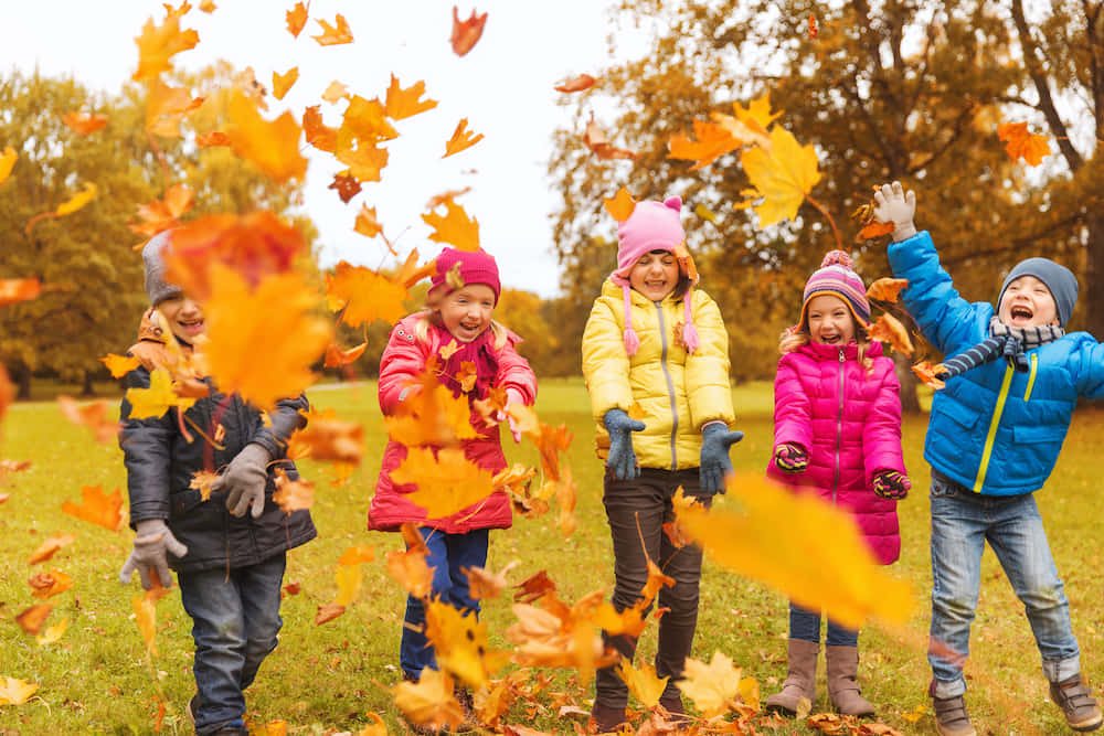 fall birthday, autumn park, vibrant orange maple leaves, SD Desktop Wallpaper