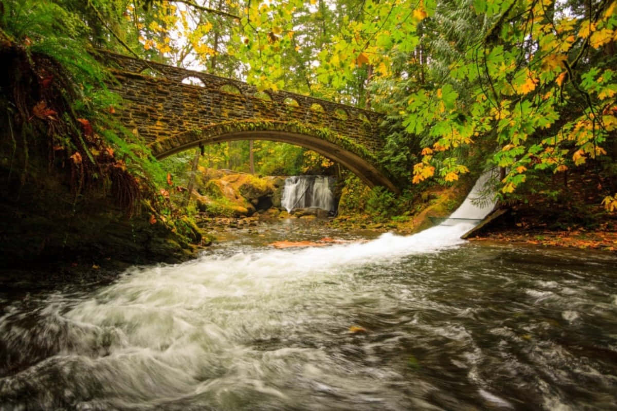Fall Bridge, mossy stone arch bridge, rushing river, SD Desktop Wallpaper