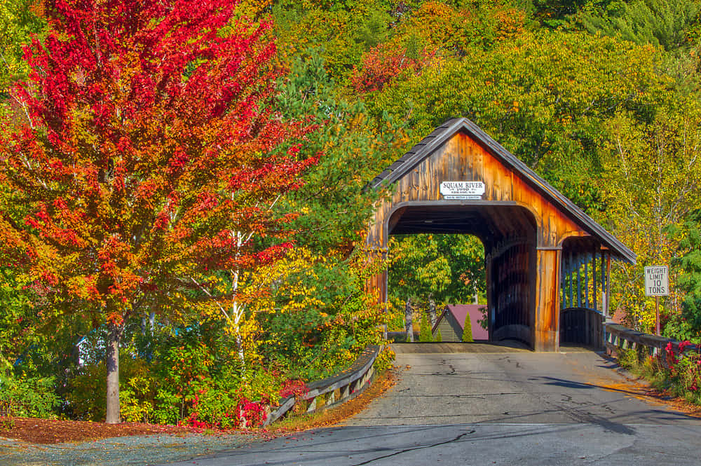 Fall Bridge, rustic wooden covered bridge, vibrant autumn foliage, SD Desktop Wallpaper