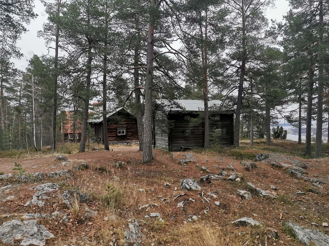 Fall Cabin