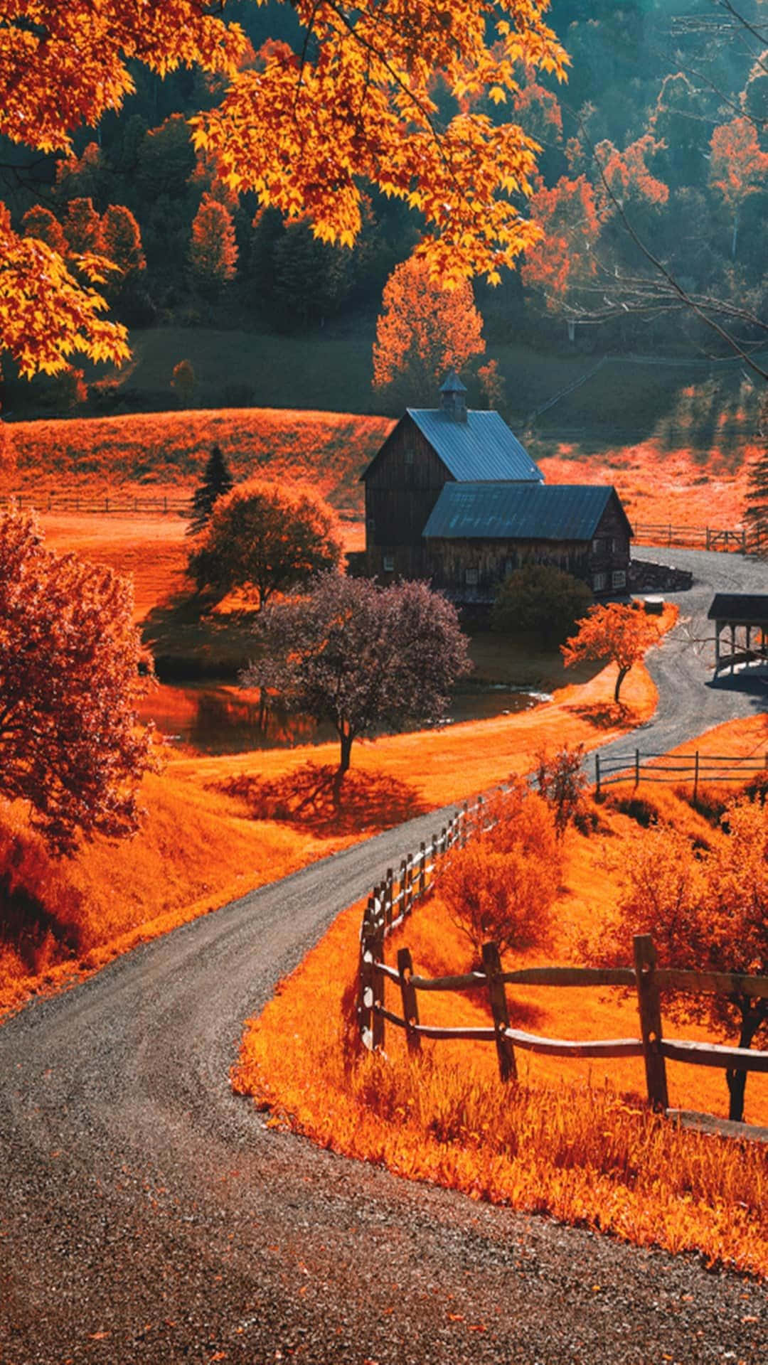 fall farmhouse, rustic barn, fiery orange autumn trees, Full HD Phone Wallpaper