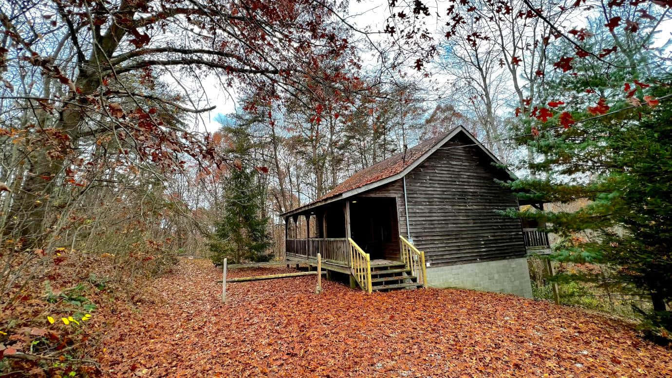 Fall Cabin, rustic wooden cabin, forest, HD Desktop Wallpaper