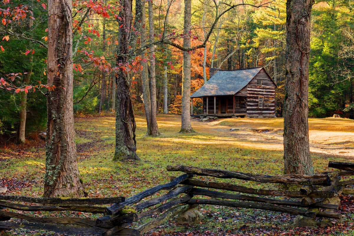 Fall Cabin, rustic wooden cabin, sunlit autumn forest, SD Desktop Wallpaper