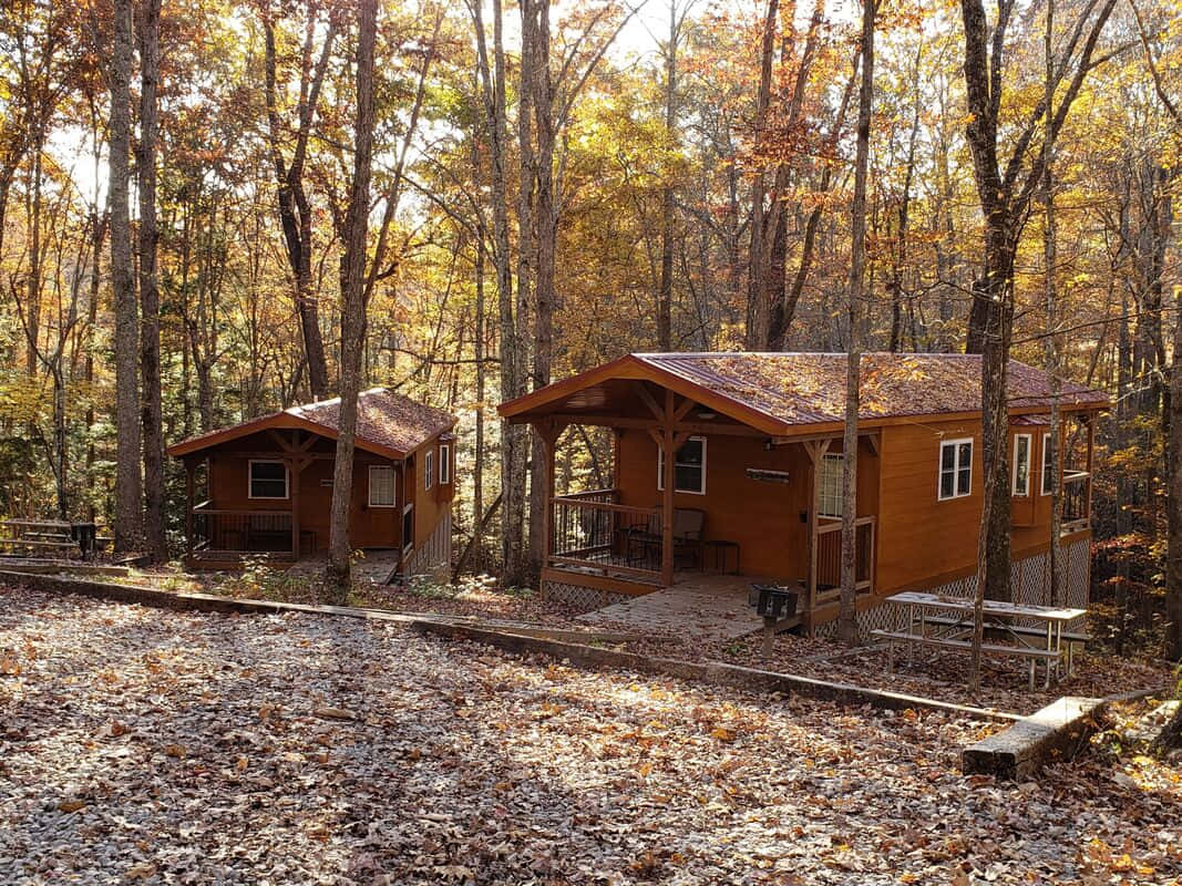 Fall Cabin, wooden cabins, forest, SD Desktop Wallpaper