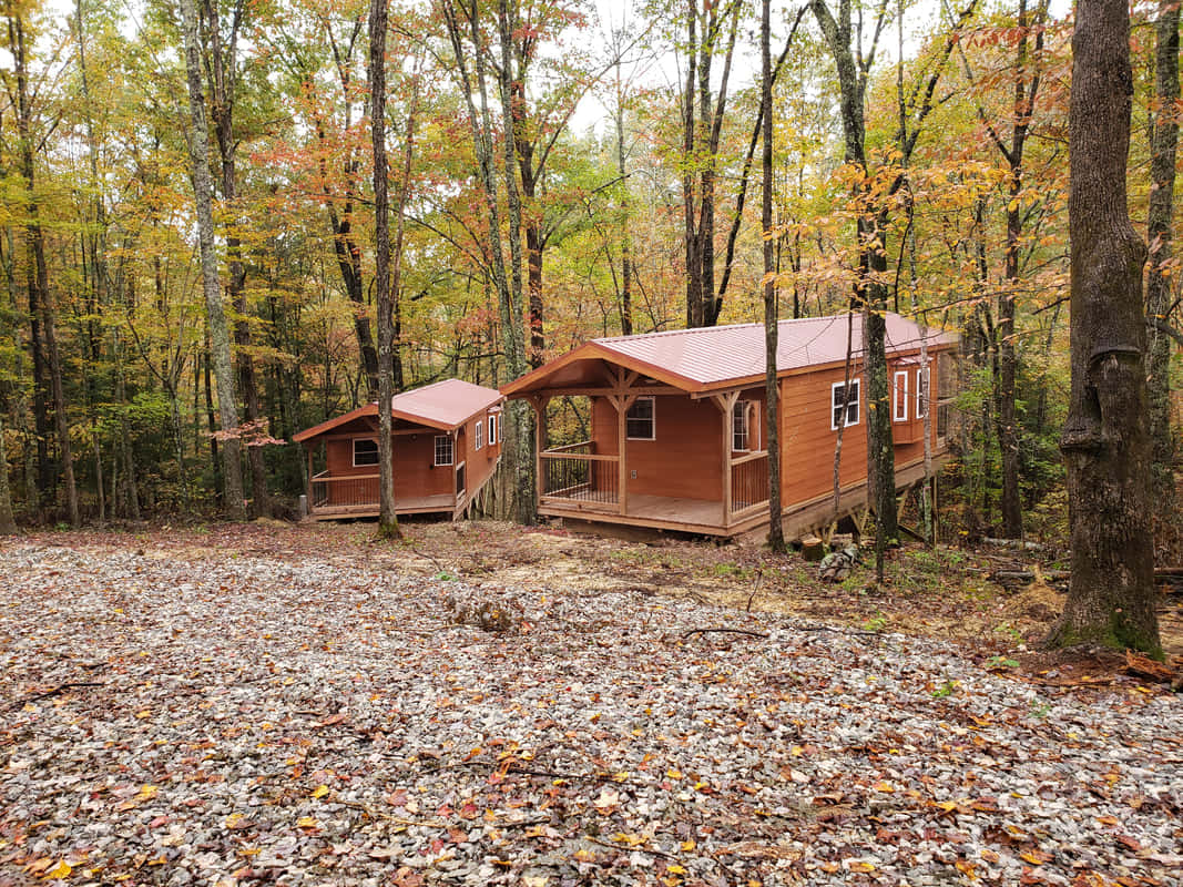 Fall Cabin, wooden cabins, autumn trees, SD Desktop Wallpaper