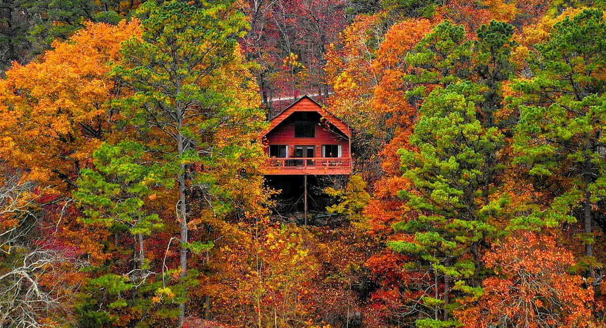 Fall Cabin, red cabin, fiery autumn trees, SD Desktop Wallpaper