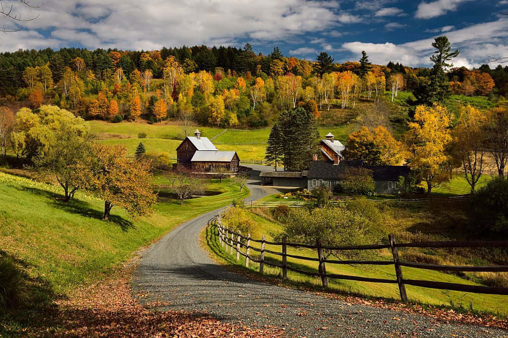 Fall Cabin, gravel road, autumn countryside, SD Desktop Wallpaper
