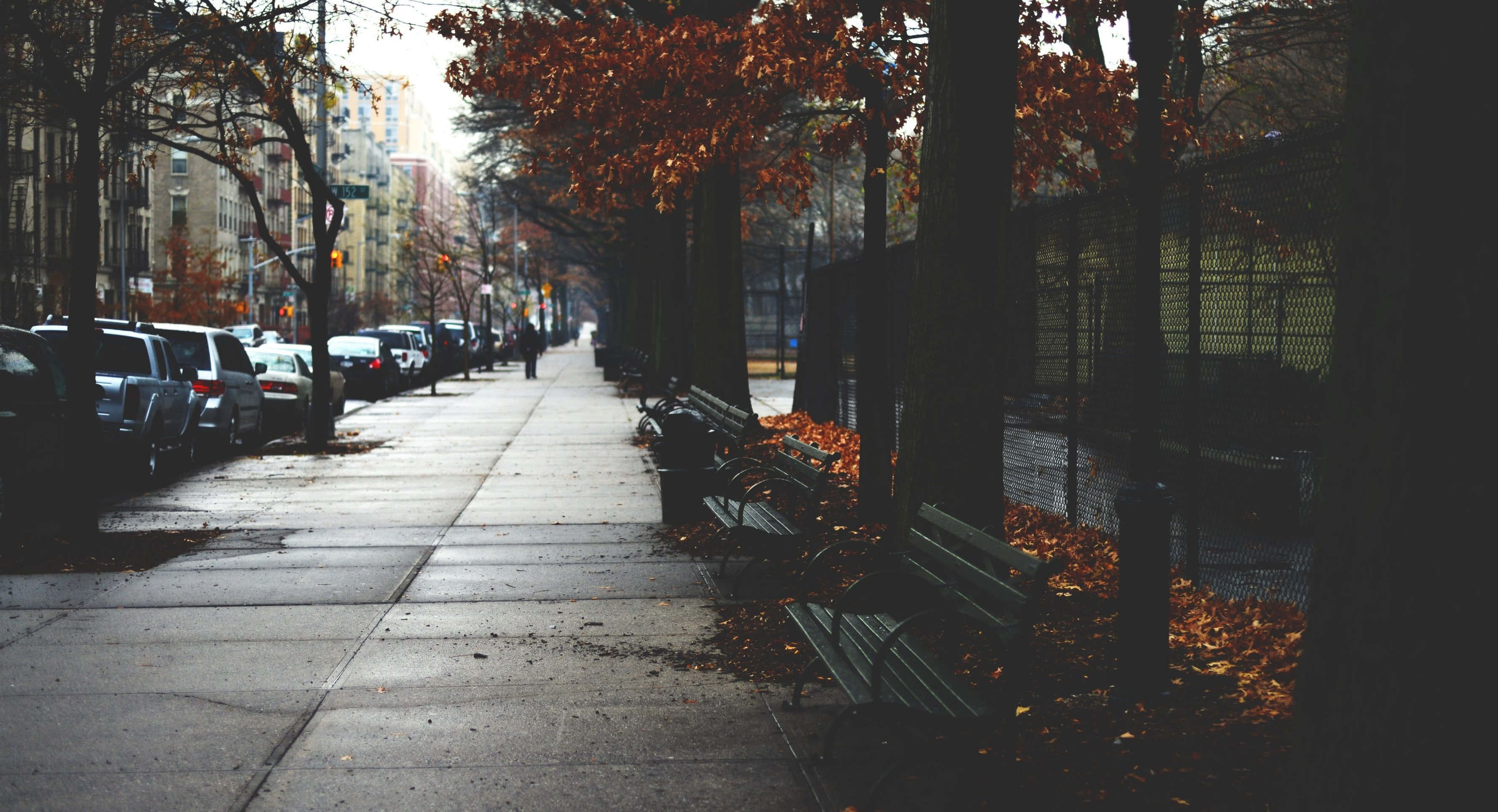 Fall City, autumn, sidewalk, 2K Desktop Wallpaper