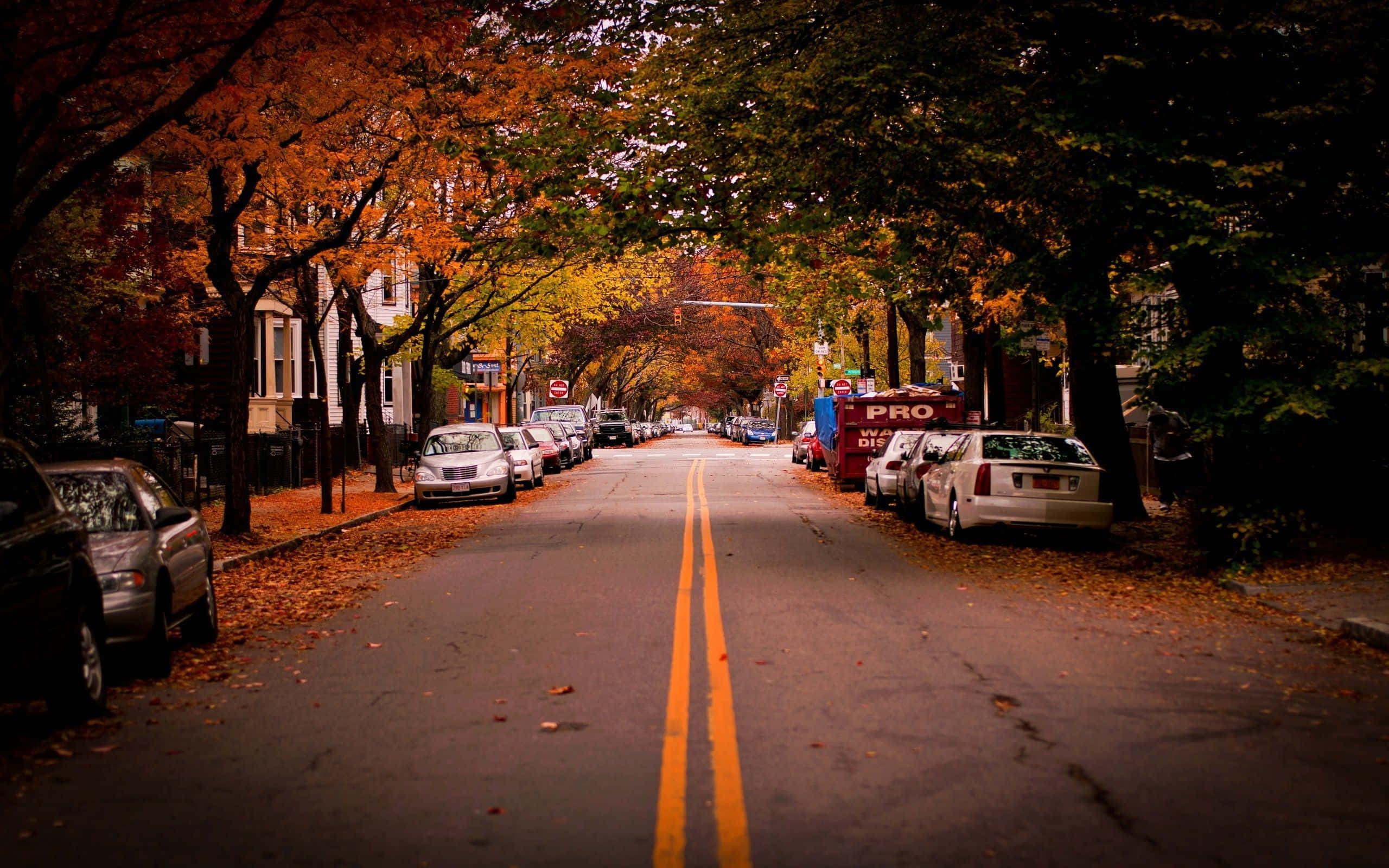 Fall City, autumn street, fiery orange and yellow leaves, 2K Desktop Wallpaper