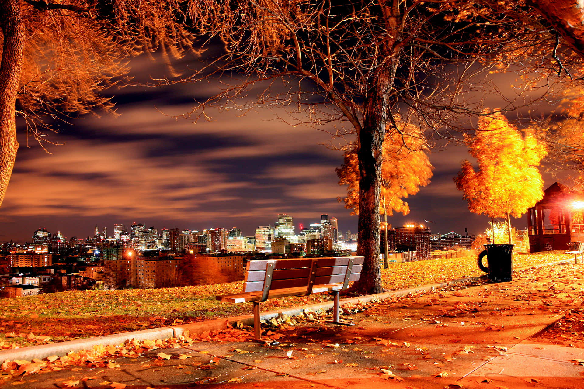 Fall City, night, autumn trees, Full HD Desktop Wallpaper