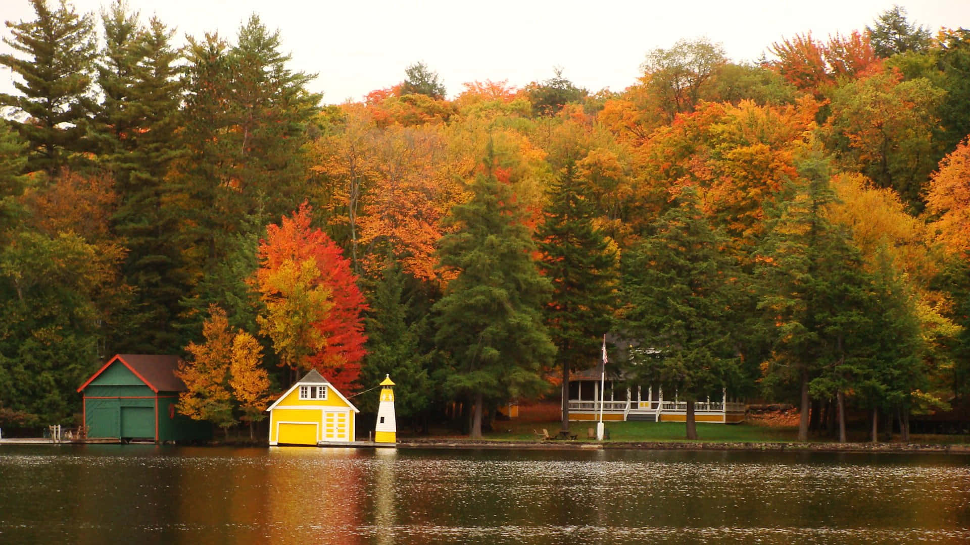 Fall City, autumn foliage, vibrant, Full HD Desktop Wallpaper