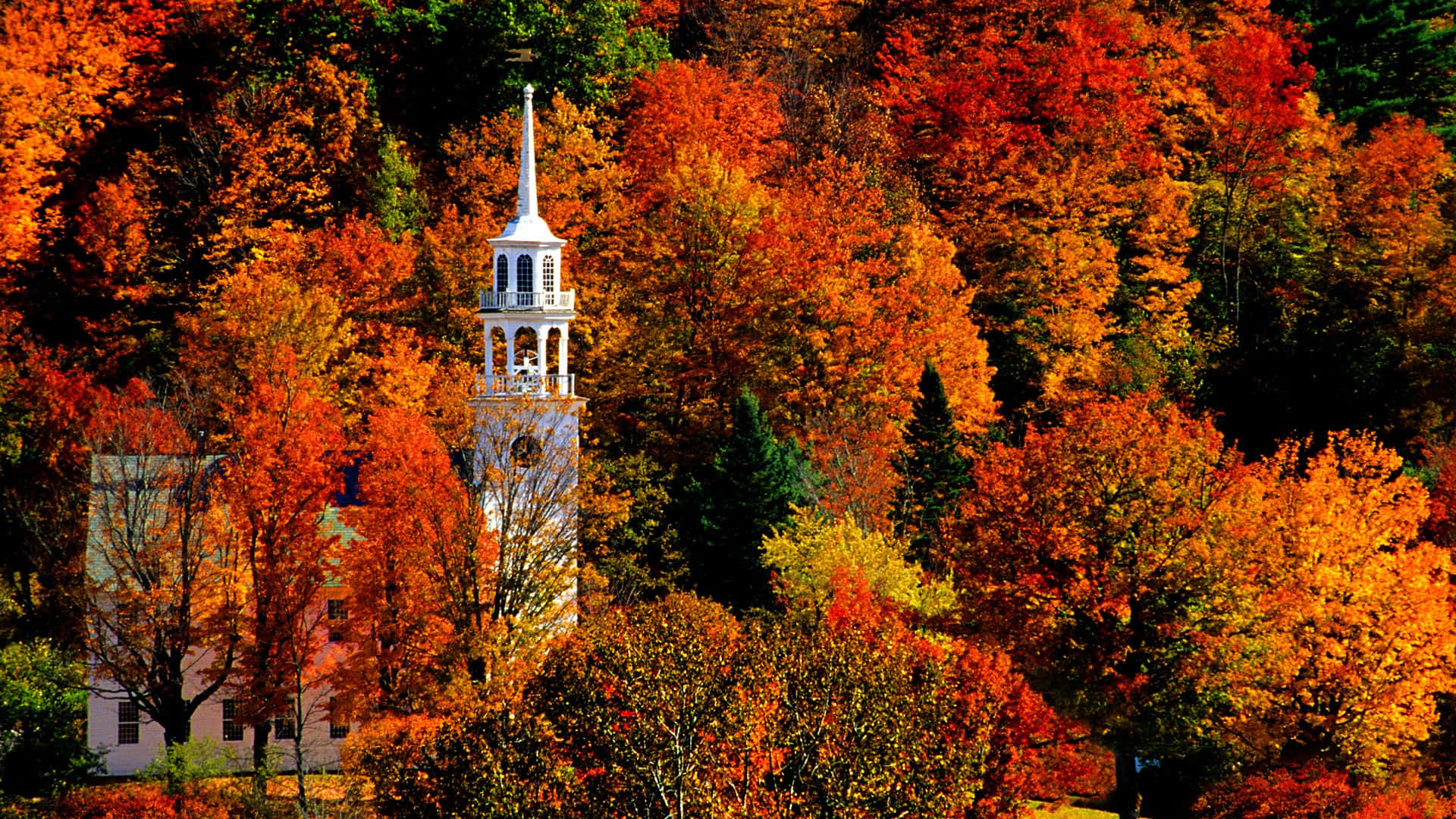 Fall City, white church steeple, dense forest, Full HD Desktop Wallpaper