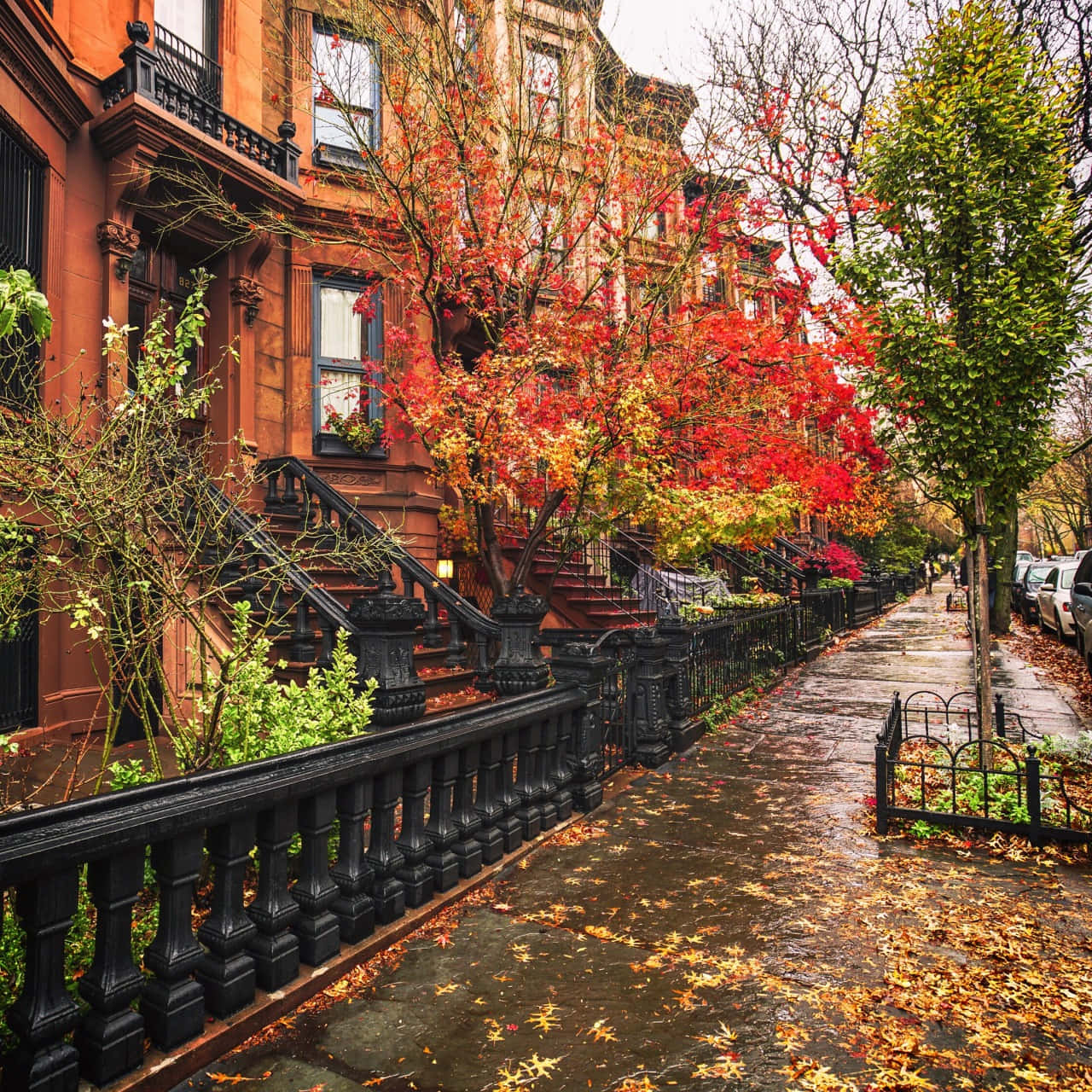 Fall City, red brick brownstones, fiery red and orange leaves, HD Desktop Wallpaper