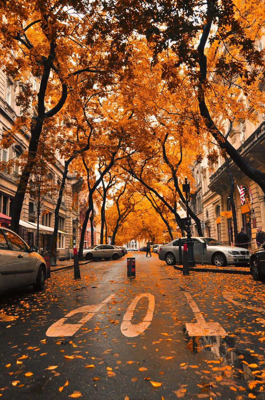 Fall City, autumn street, golden trees, HD Phone Wallpaper
