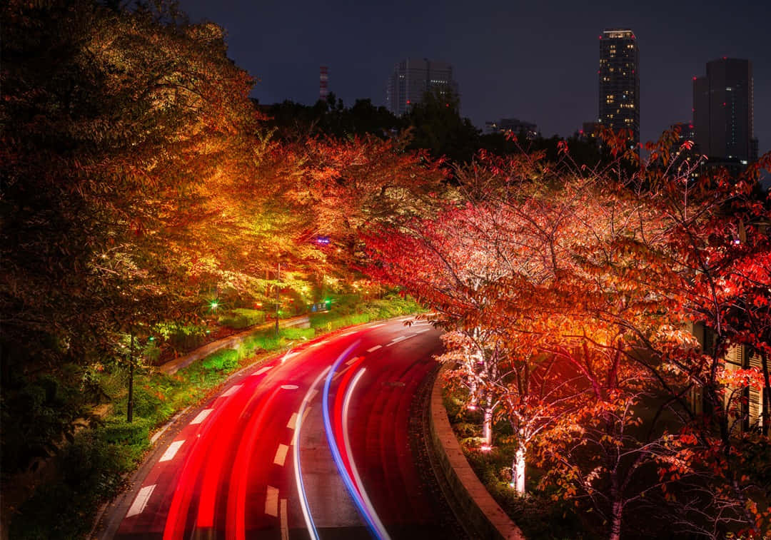 Fall City, autumn trees, red orange leaves, SD Desktop Wallpaper