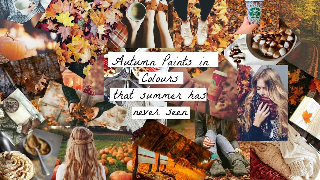 autumn, falling leaves, cozy sweaters, HD Desktop Wallpaper