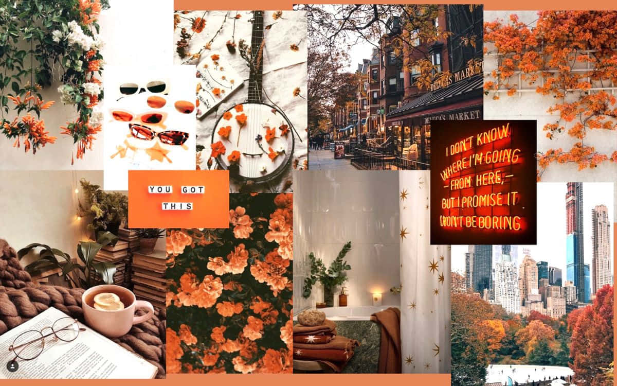 Fall Collage Desktop, autumn, coffee, SD Desktop Wallpaper