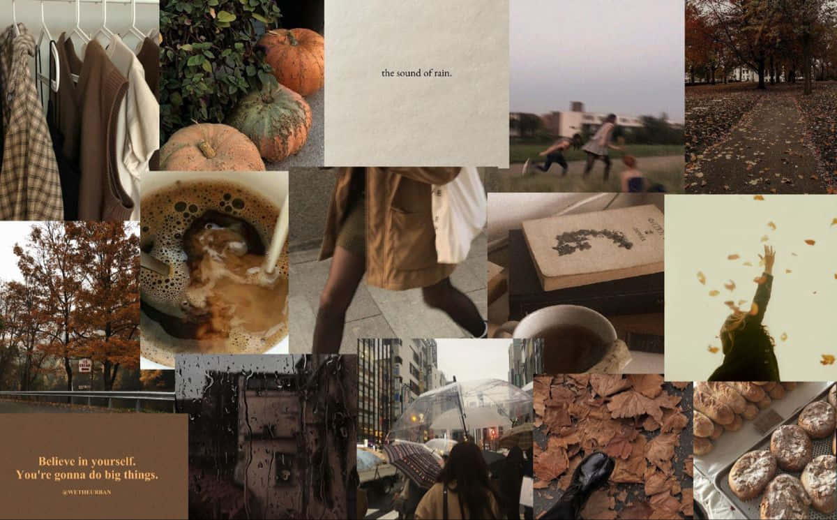 Autumn season, pumpkins, coffee, SD Desktop Wallpaper