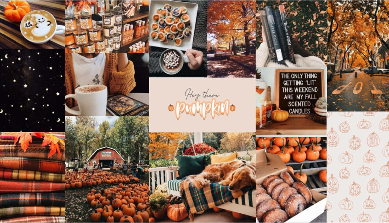 fall collage desktop, autumn, pumpkins, HD Desktop Wallpaper