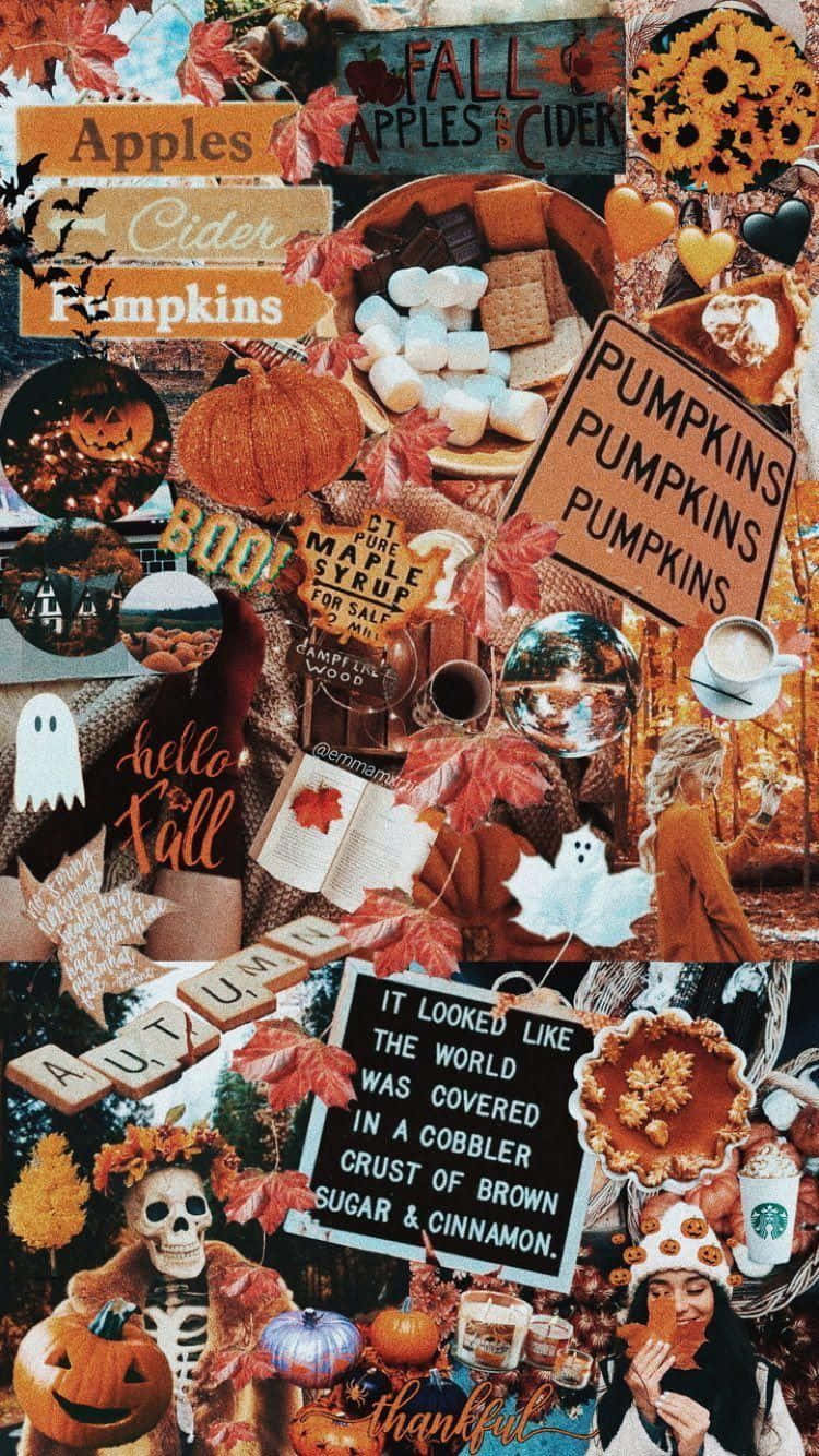 Fall Collage Desktop, autumn, pumpkins, HD Phone Wallpaper