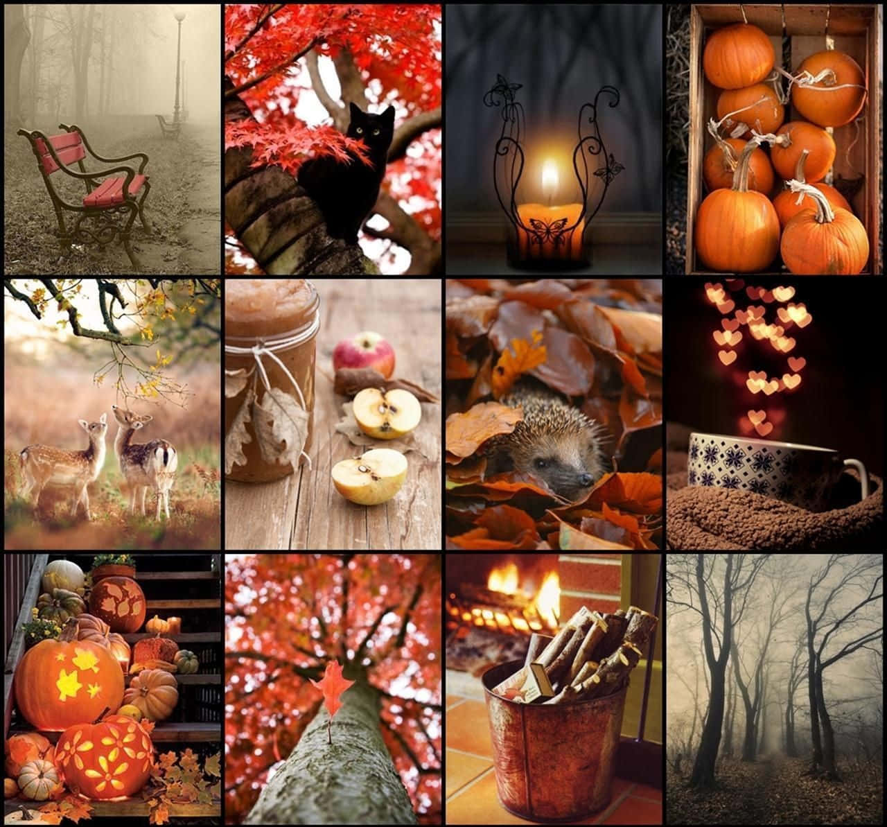 Fall Collage Desktop, autumn scenes, pumpkins, HD Desktop Wallpaper