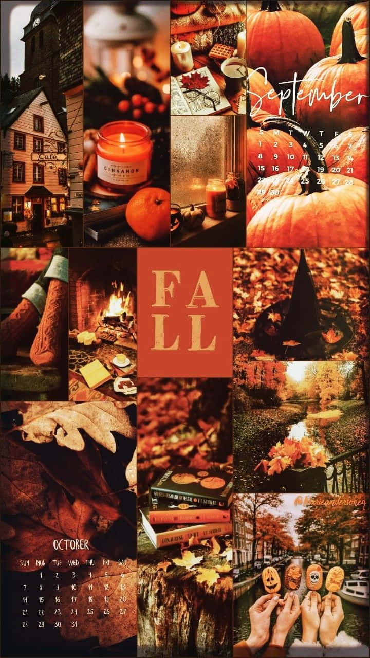 fall collage desktop, autumn, pumpkins, HD Phone Wallpaper