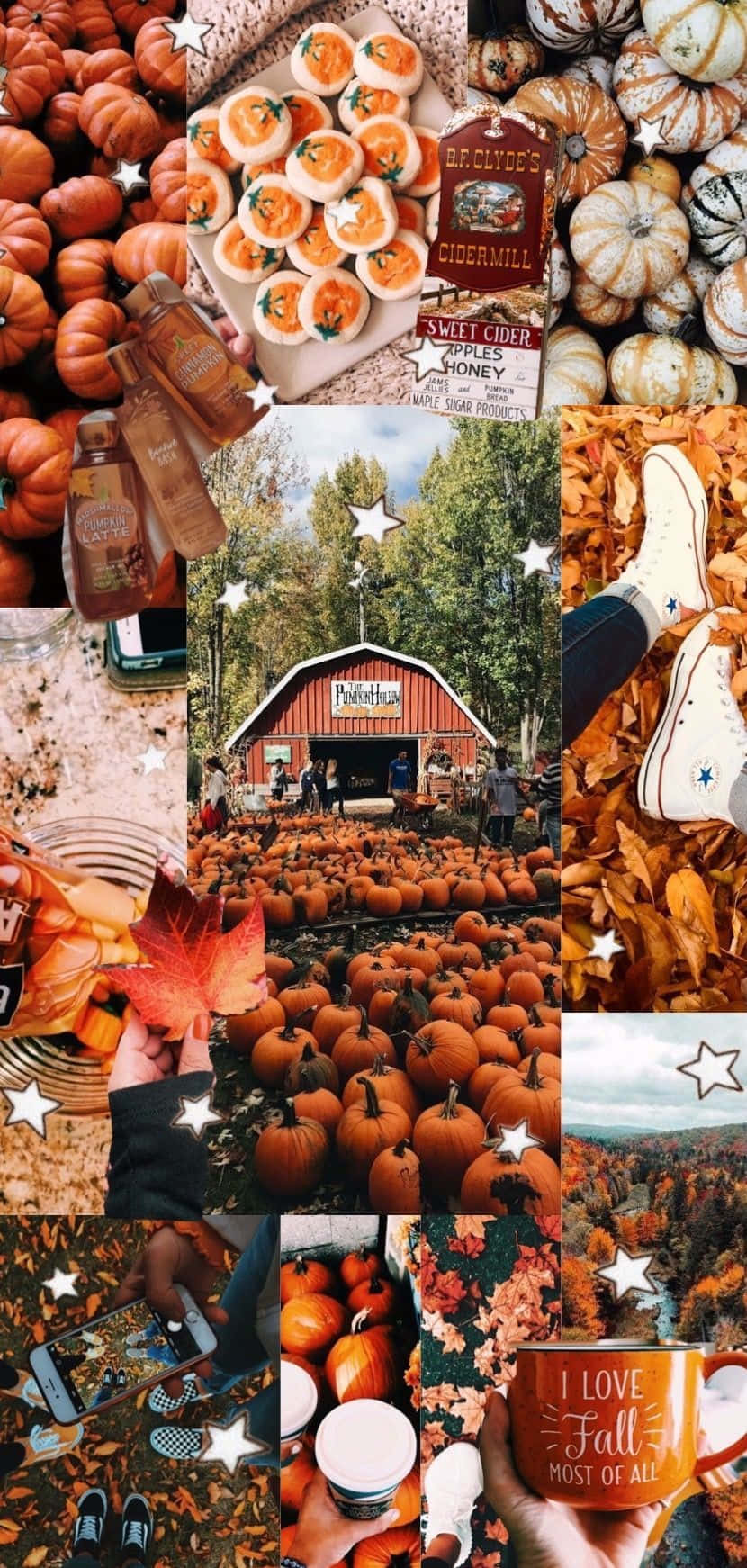 fall collage desktop, autumn collage, pumpkins, HD Phone Wallpaper