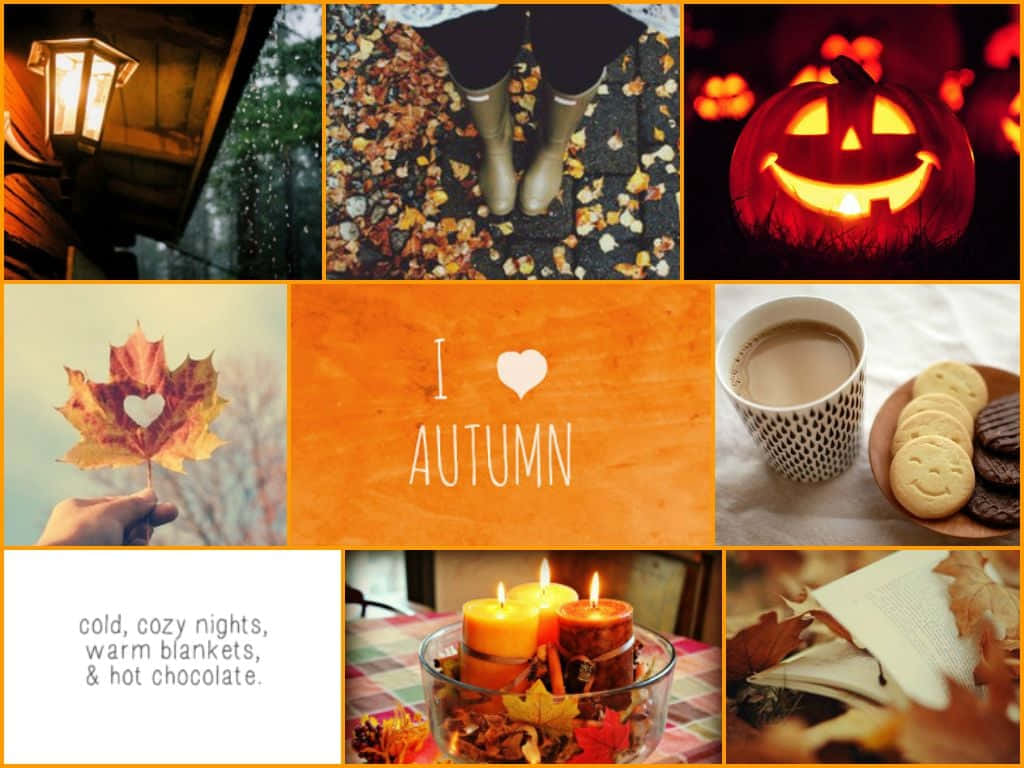 autumn, pumpkins, candles, SD Desktop Wallpaper
