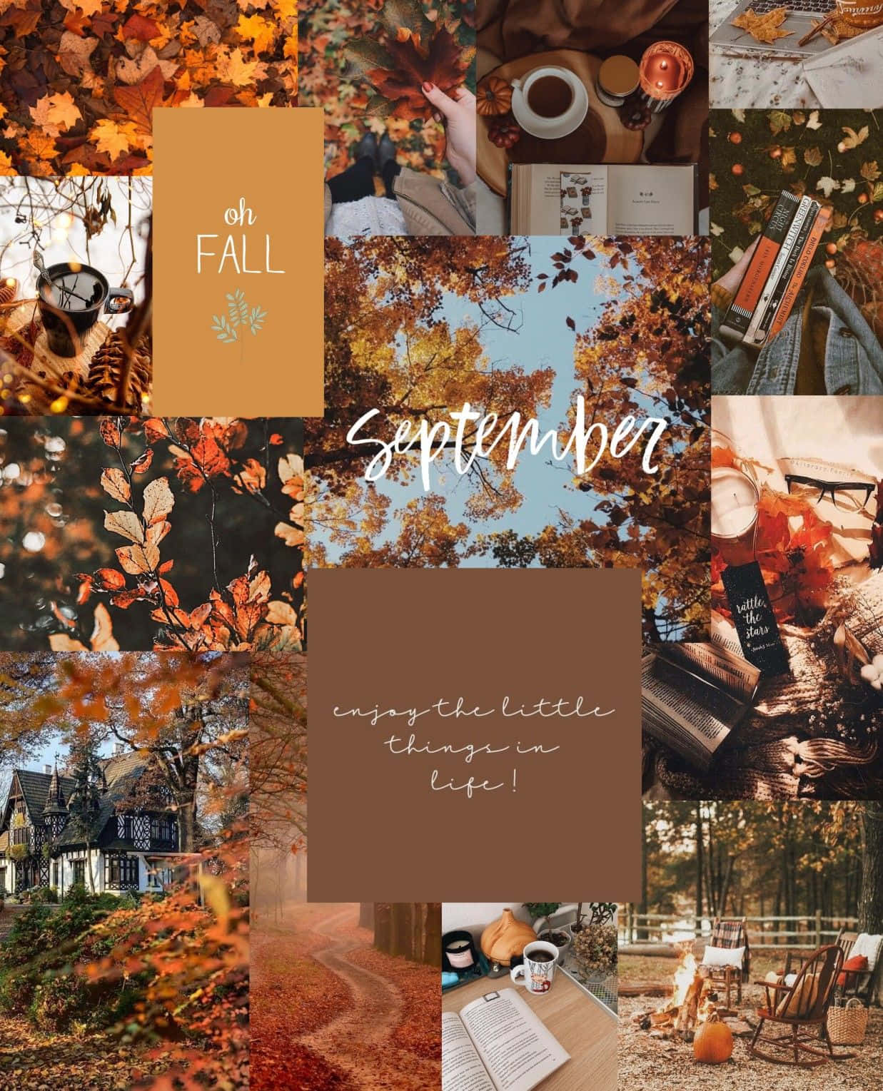 Fall Collage Desktop, autumn, falling leaves, HD Phone Wallpaper